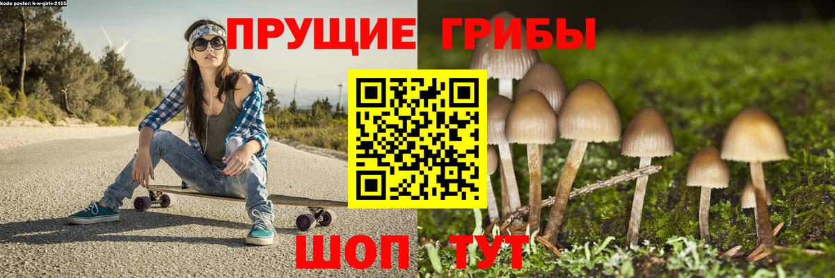 Псилоцибиновые грибы мицелий  где купить   Мыски  Вход с VPN 